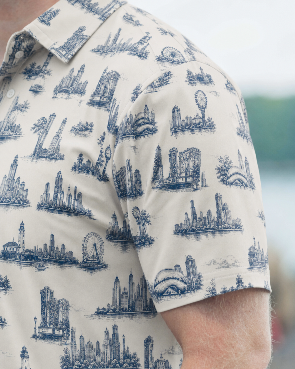Windy City Toile
